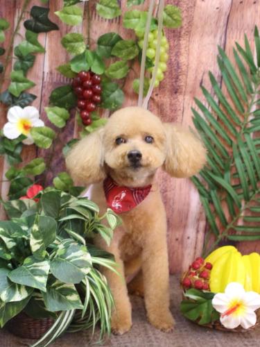 20230813のえるくん